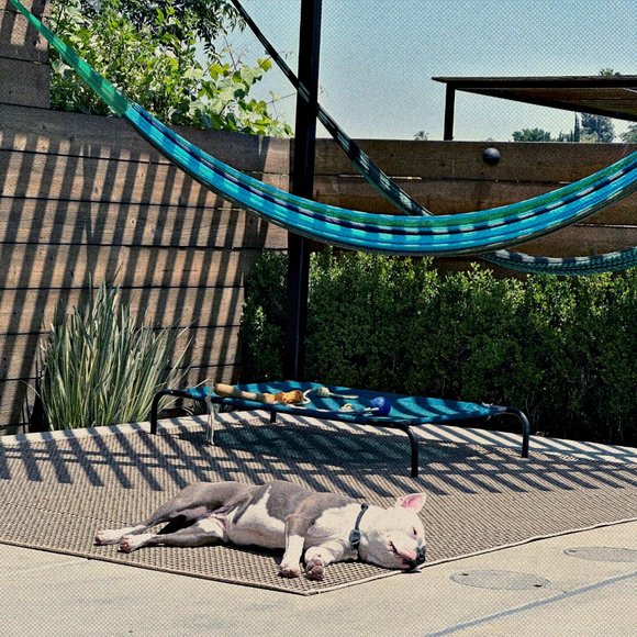 Meet your Posher, Dustin - Picture 12 of 16